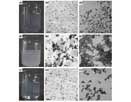 Nano-composite of poly(lactic acid) prepared by in-situ melt polycondensation