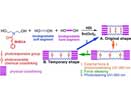 Preparation of biodegradable functional polymers