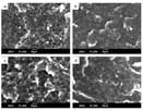 Toughening of bio-based poly(lactic acid)